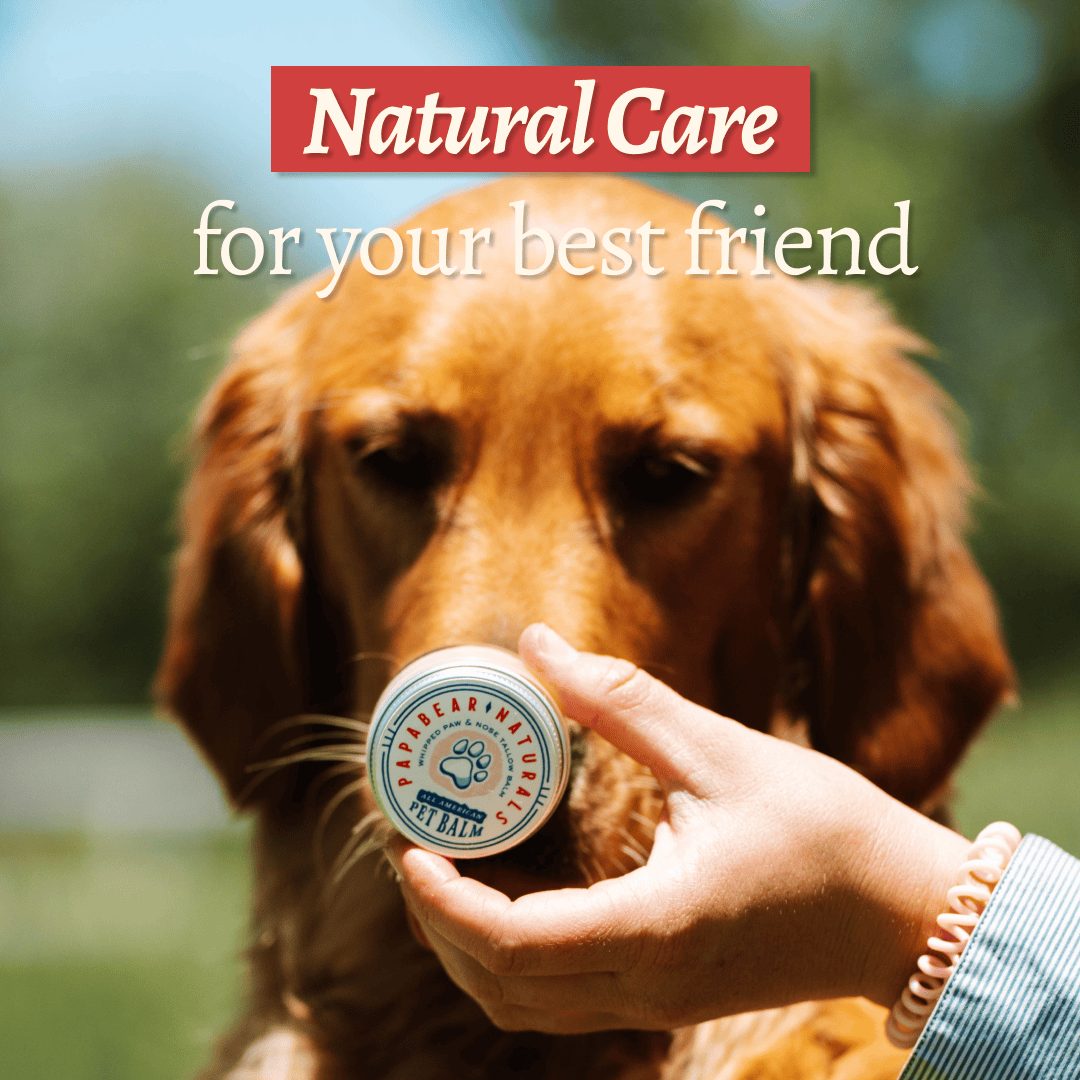 PapaBear Naturals Papabear All American Whipped Pet Balm 1 oz