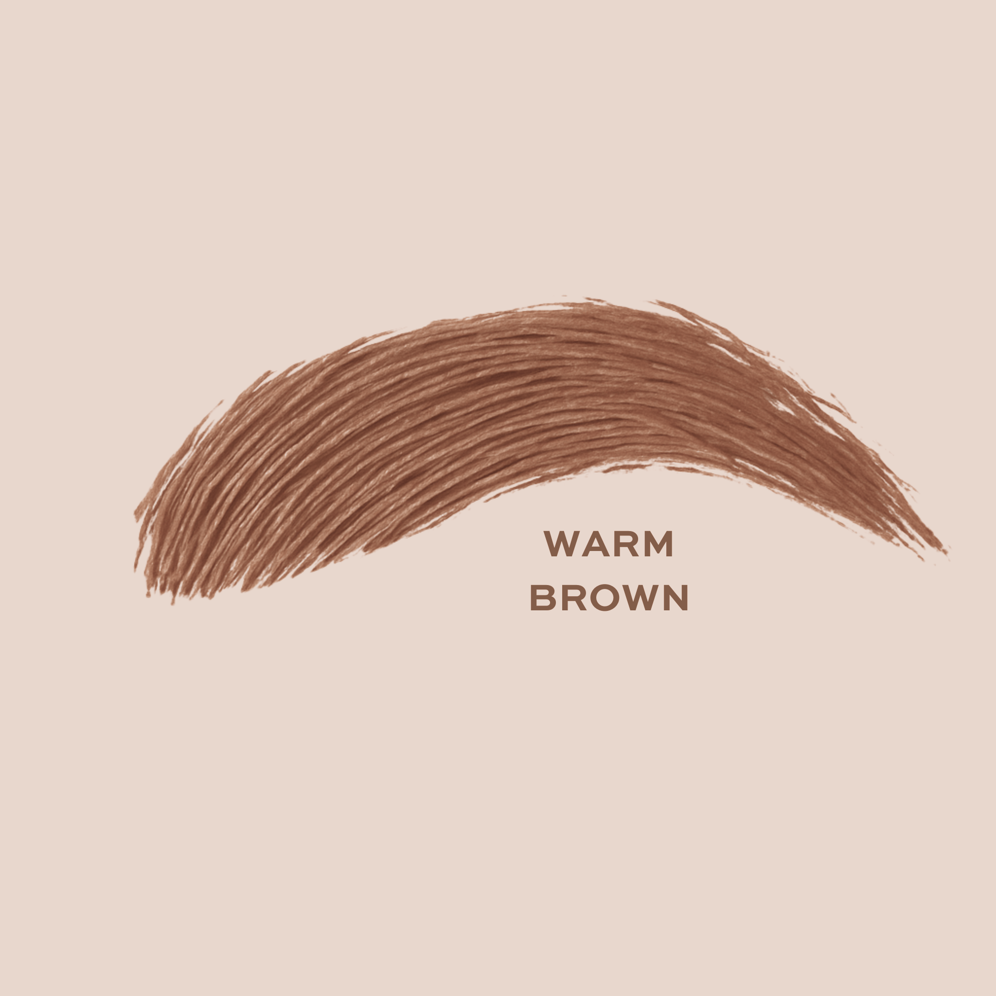 Taylor Made Organics brow gel Warm_Brown Brow Gel | tint and tame