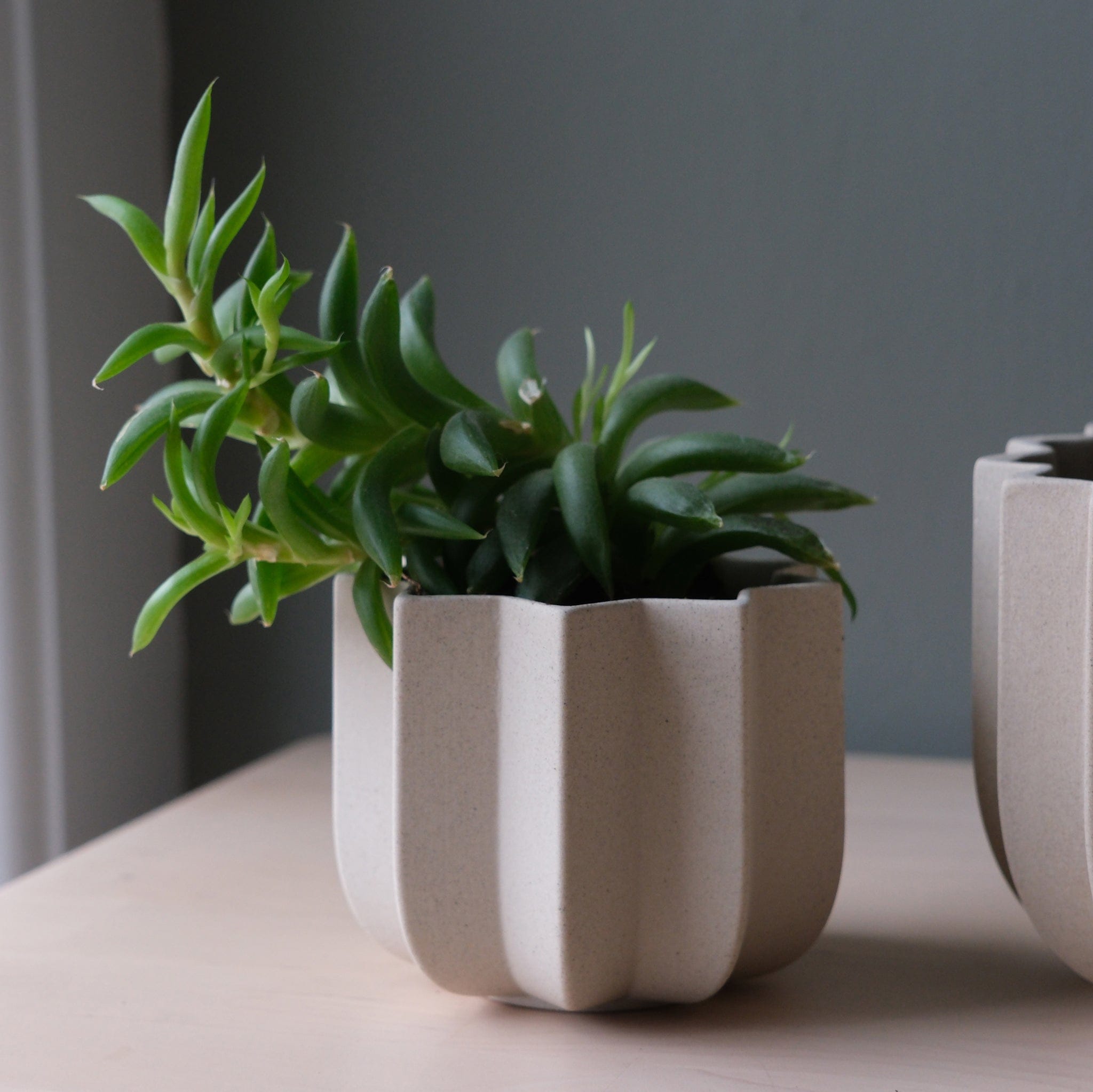 Misewell Pots & Planters dune / 4 inch Wrap Planter - 4 sizes