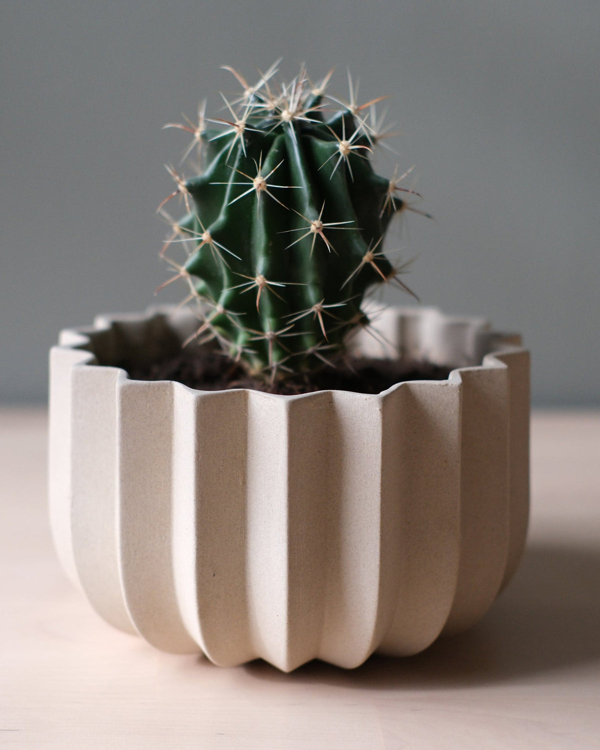 Wrap Planter - 4 sizes