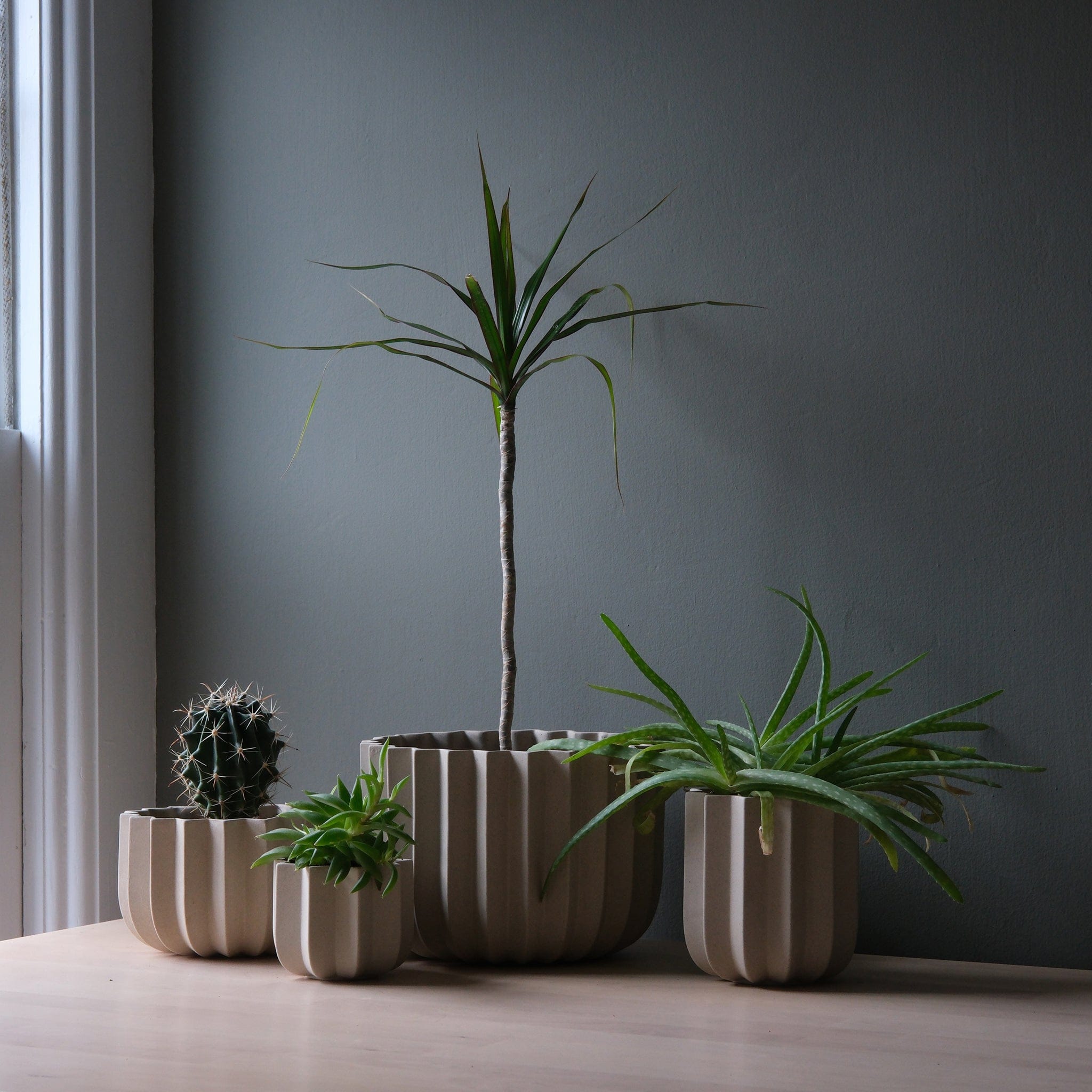 Misewell Pots & Planters dune / Set (4) Wrap Planter - 4 sizes