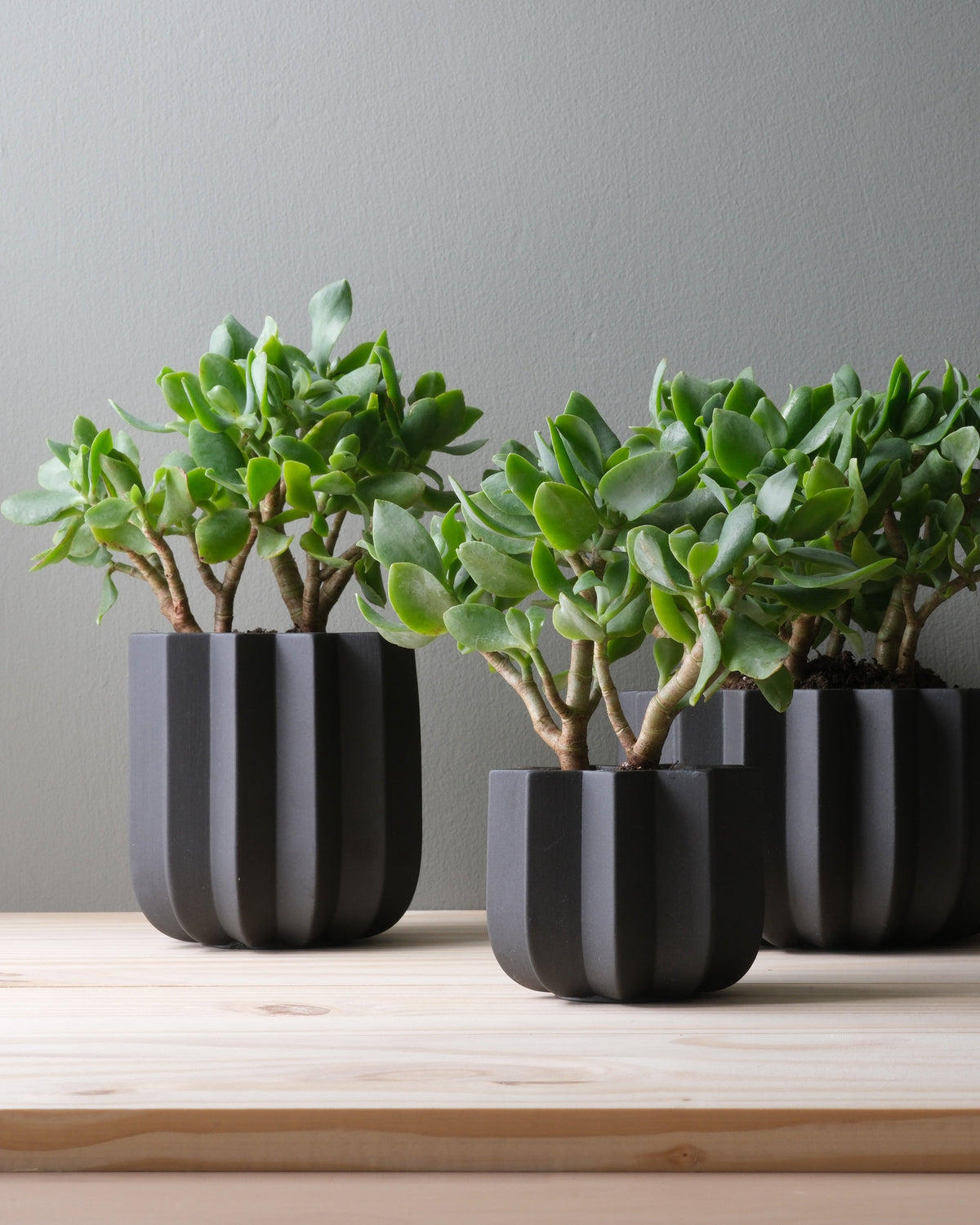 Wrap Planter - 4 sizes