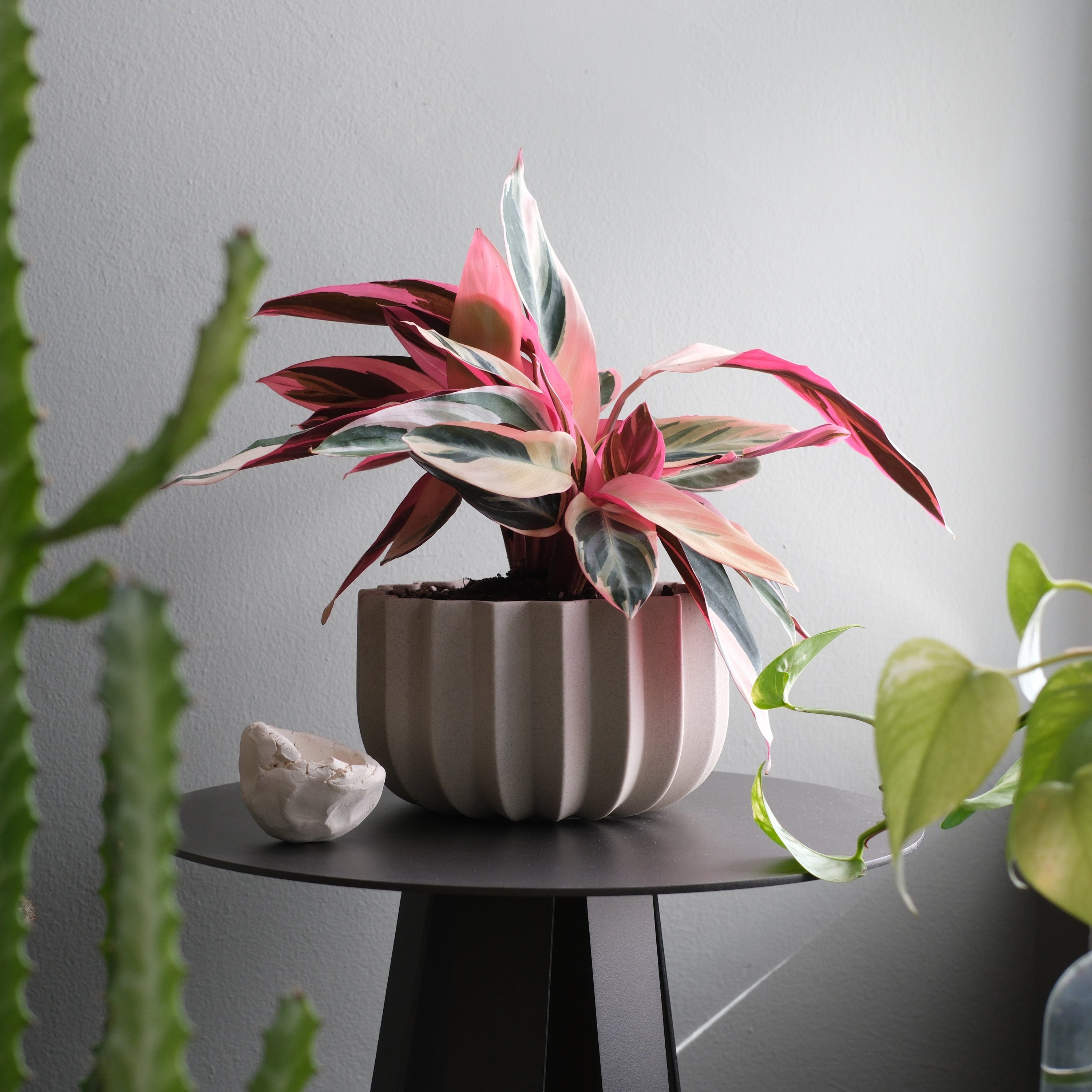 Misewell Pots & Planters dune / 7 inch Wrap Planter - 4 sizes