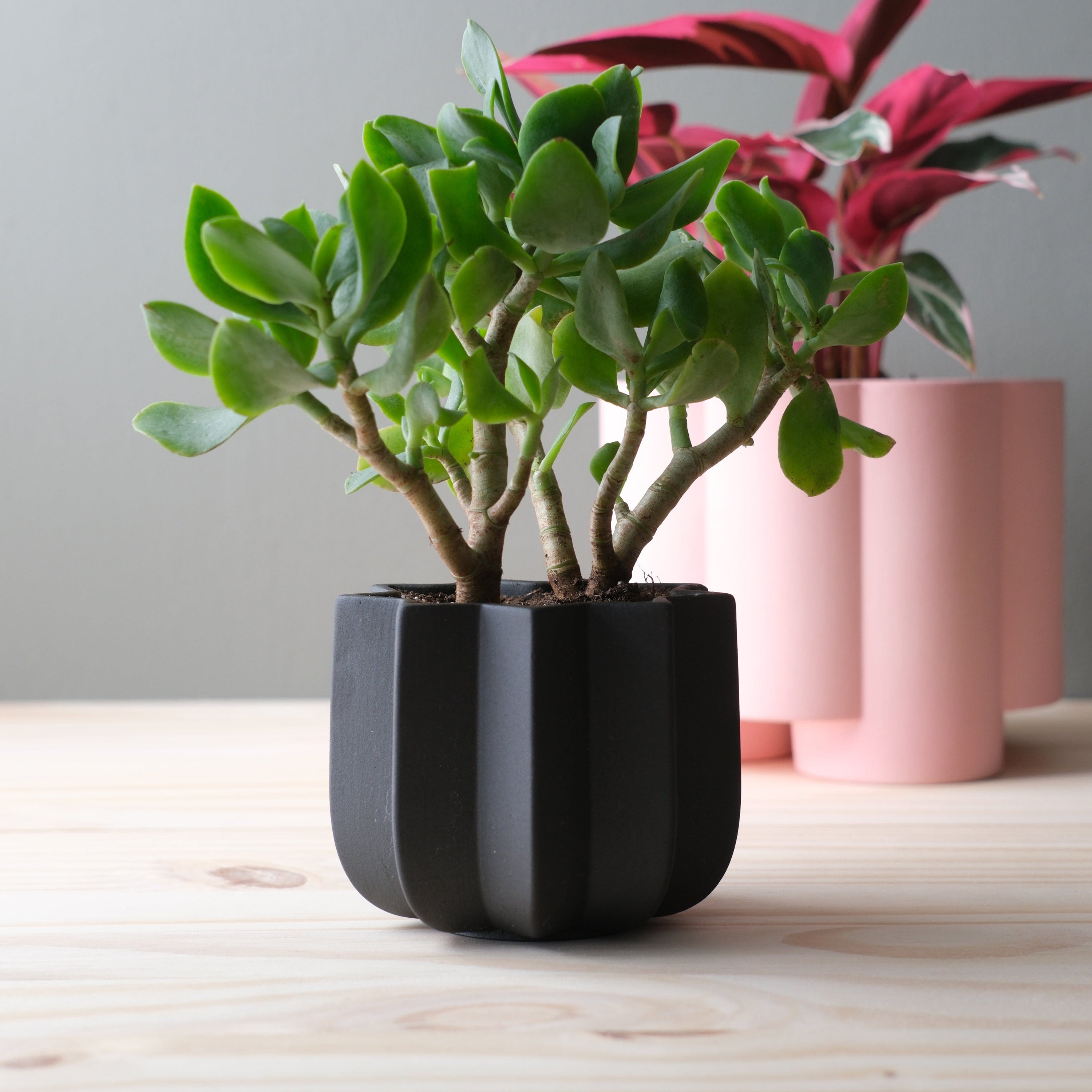 Misewell Pots & Planters black / 4 inch Wrap Planter - 4 sizes