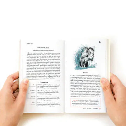 Yellowstone National Park - My American Goods