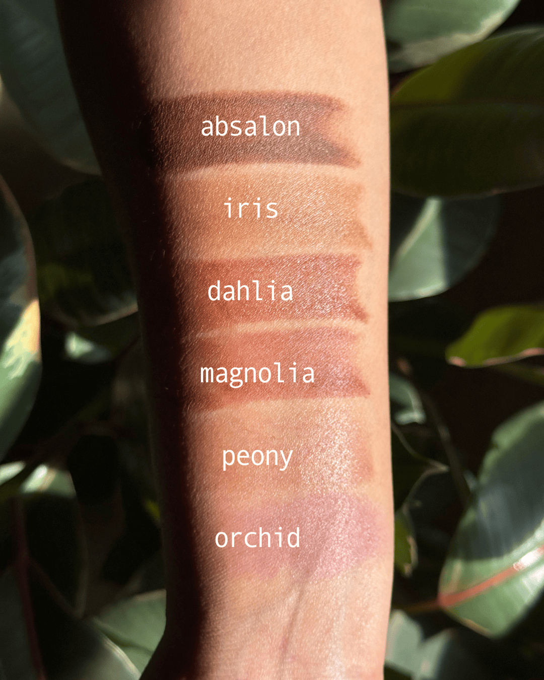 Apotheke DuJardin makeup Lip & Cheek Tint