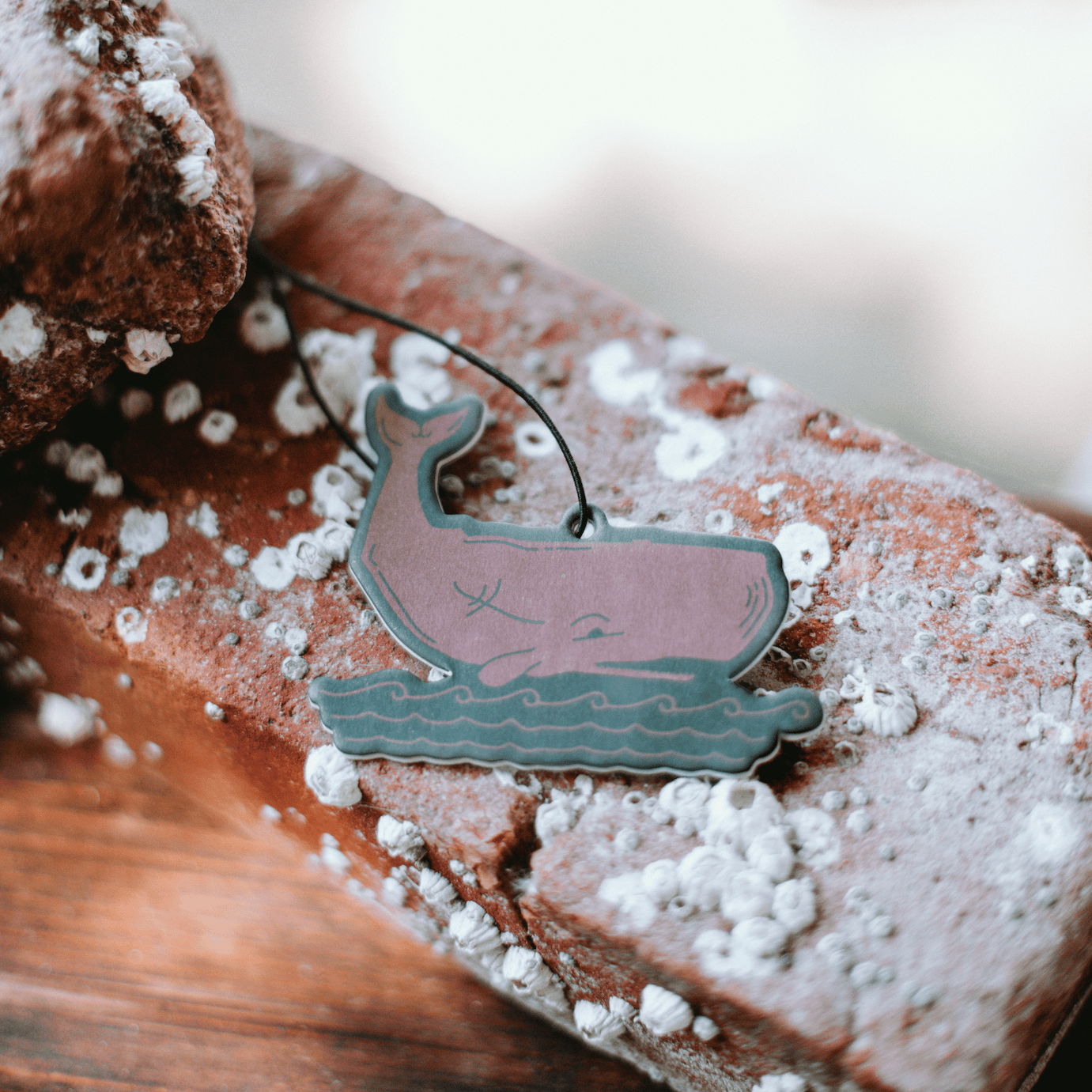 Good & Well Supply Co. Vehicle Air Fresheners Acadia National Park Air Freshener