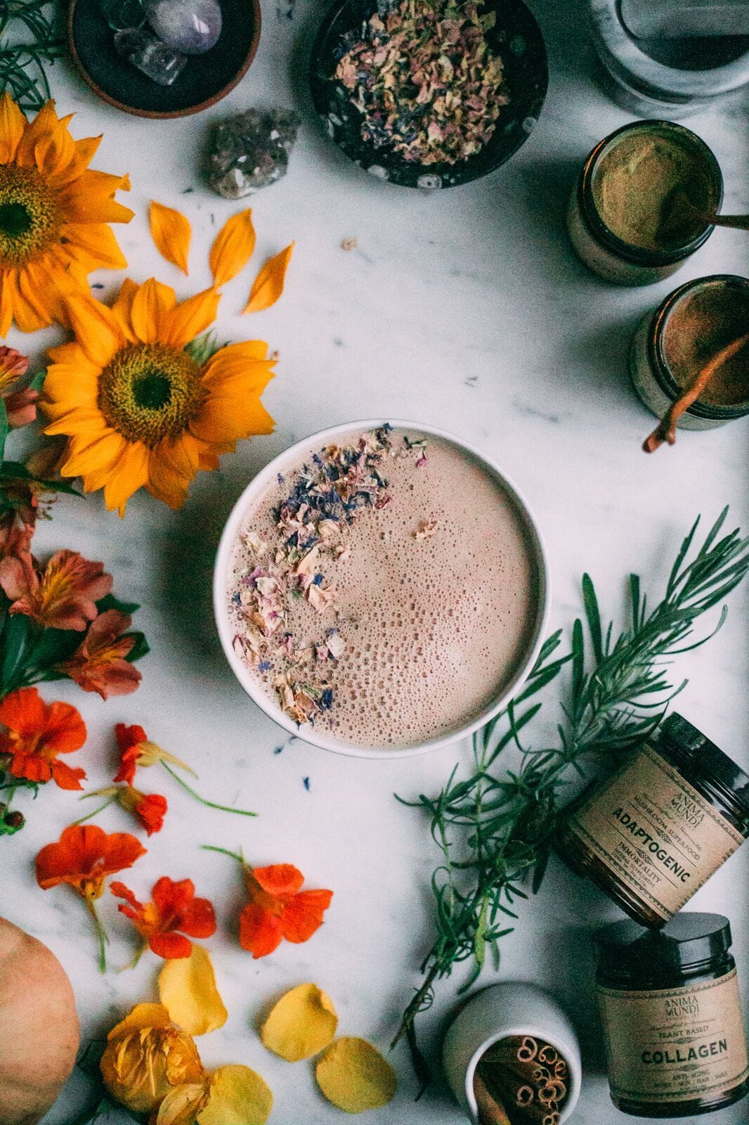 Anima Mundi Mushroom Products ADAPTOGENIC Powder | Organic, 7 Medicinal Mushrooms + Cacao
