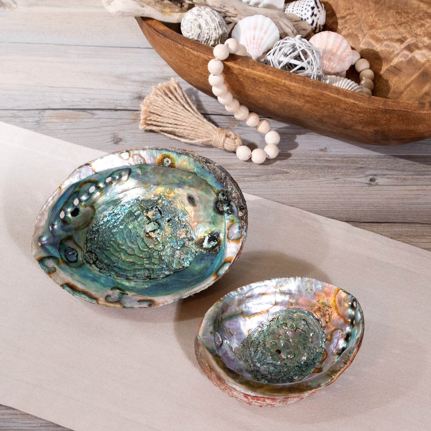 Abalone Shell - My American Goods