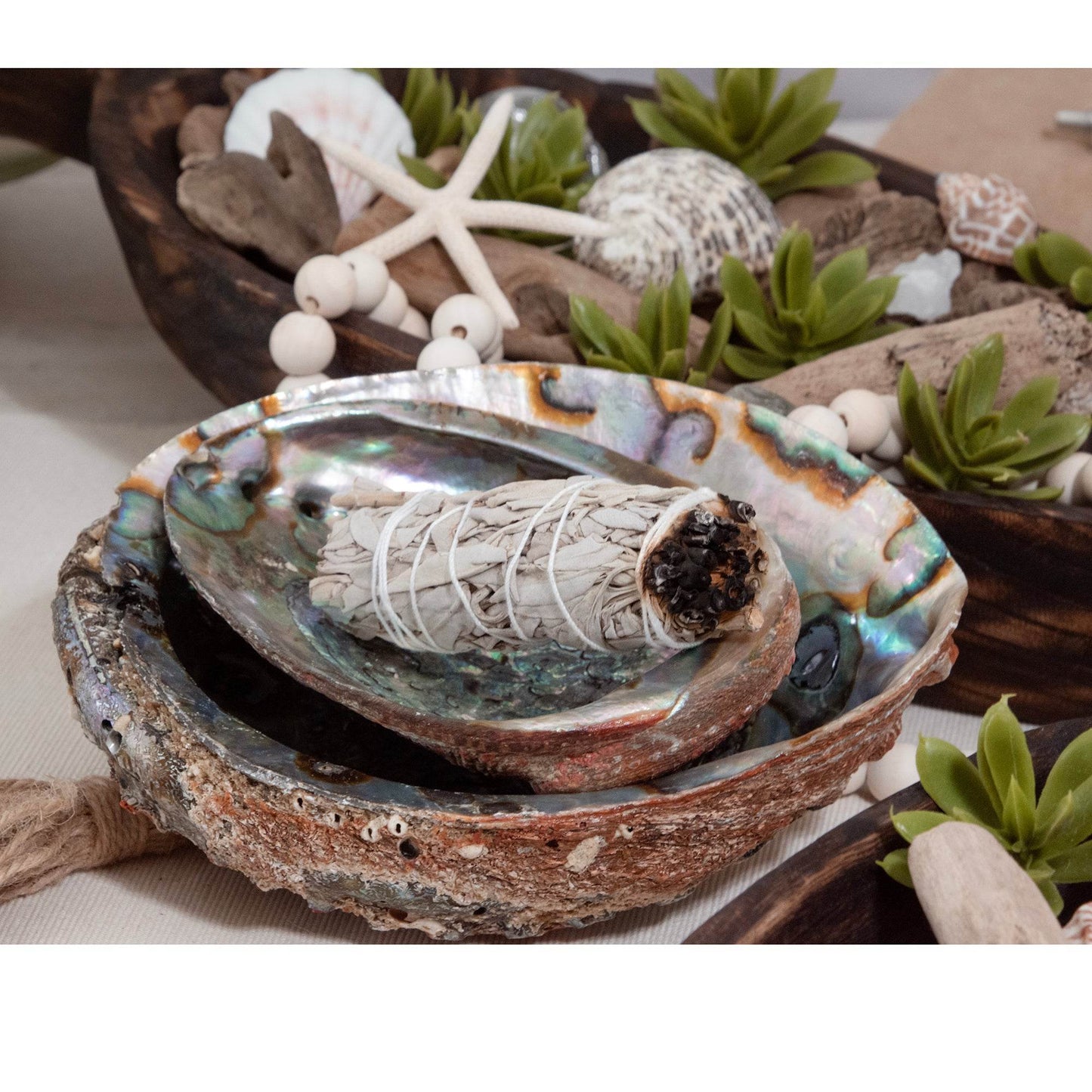 Abalone Shell - My American Goods