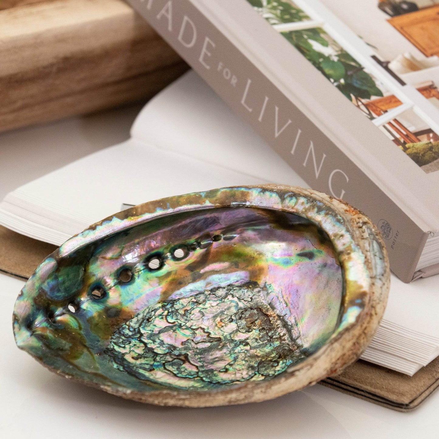 Abalone Shell - My American Goods