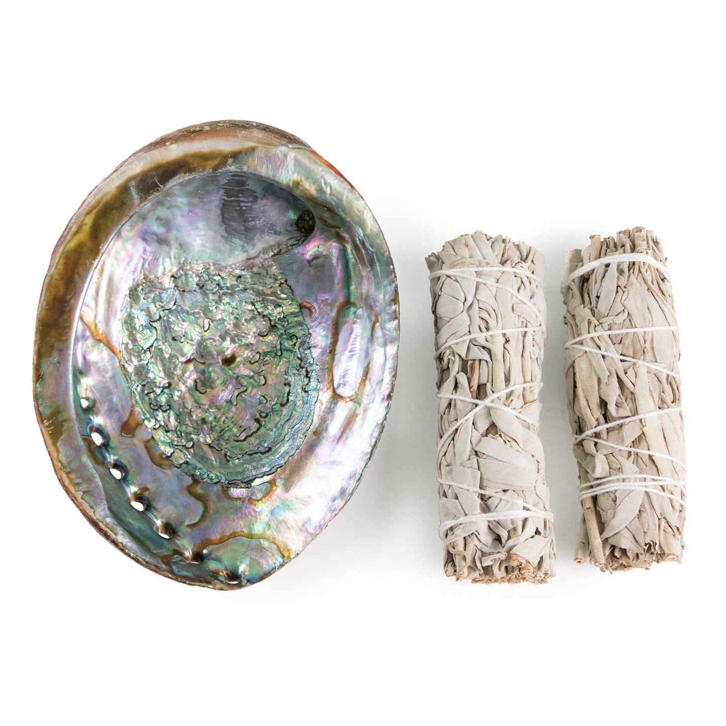 Abalone Shell - My American Goods