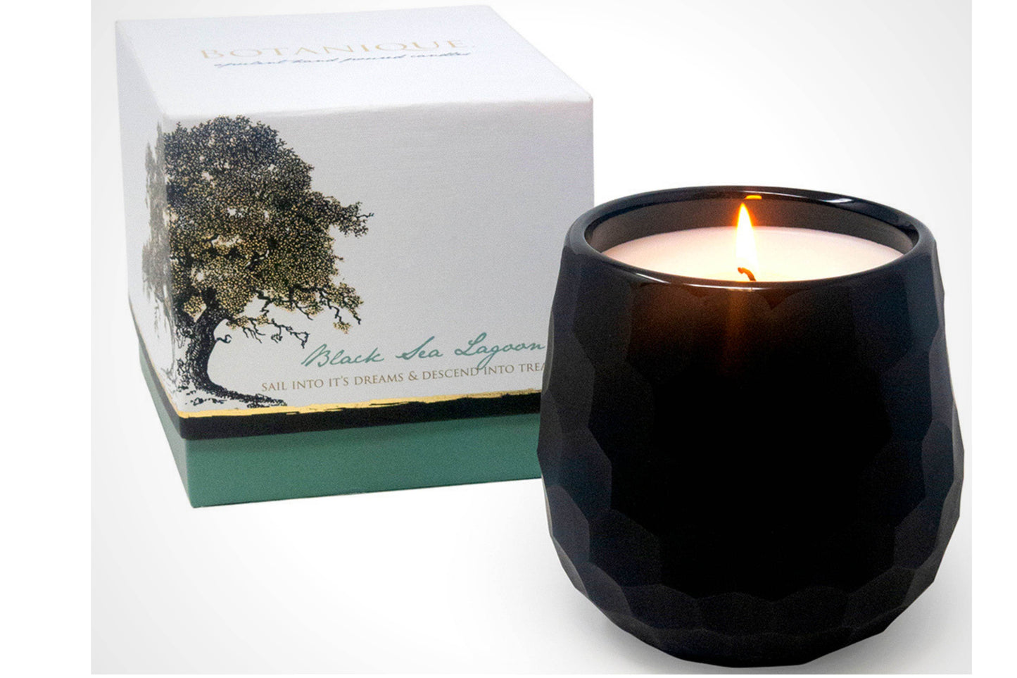 Botanique Black 16 oz Candle - My American Goods