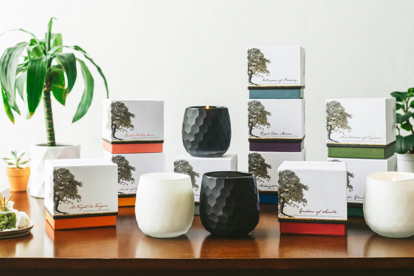 Botanique Black 16 oz Candle - My American Goods