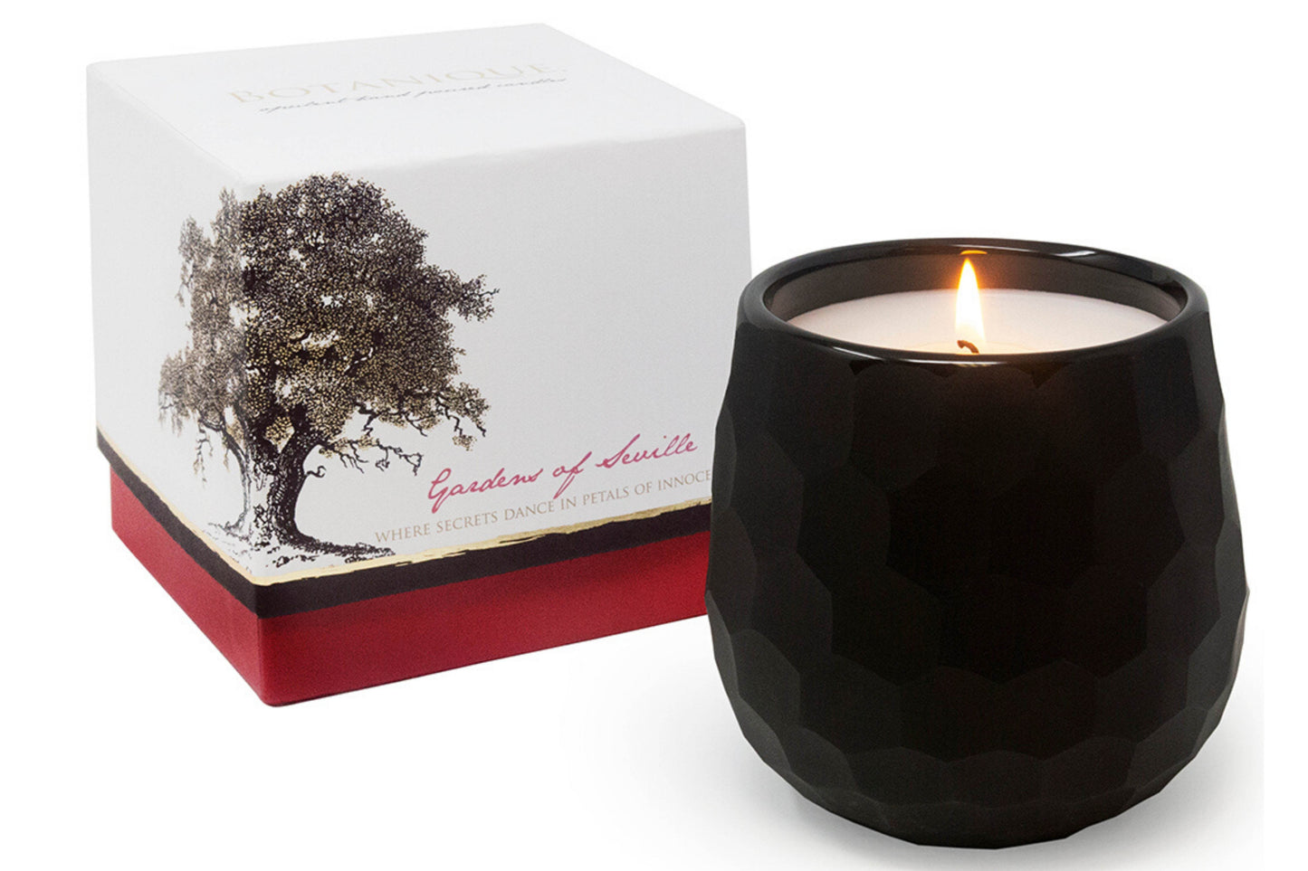 Botanique Black 16 oz Candle - My American Goods