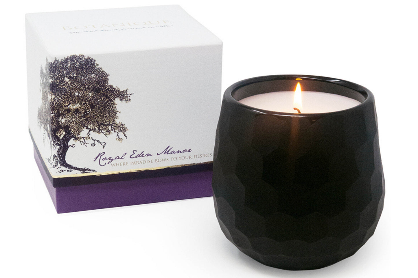 Botanique Black 16 oz Candle - My American Goods