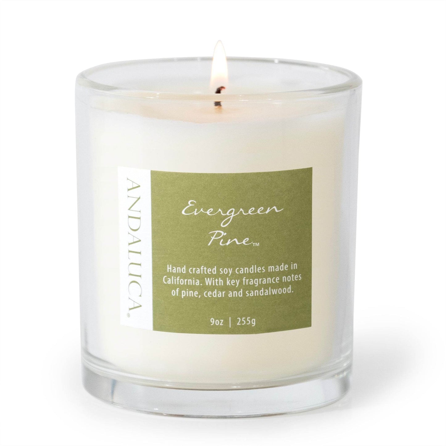 Evergreen Pine 9oz Candle - My American Goods