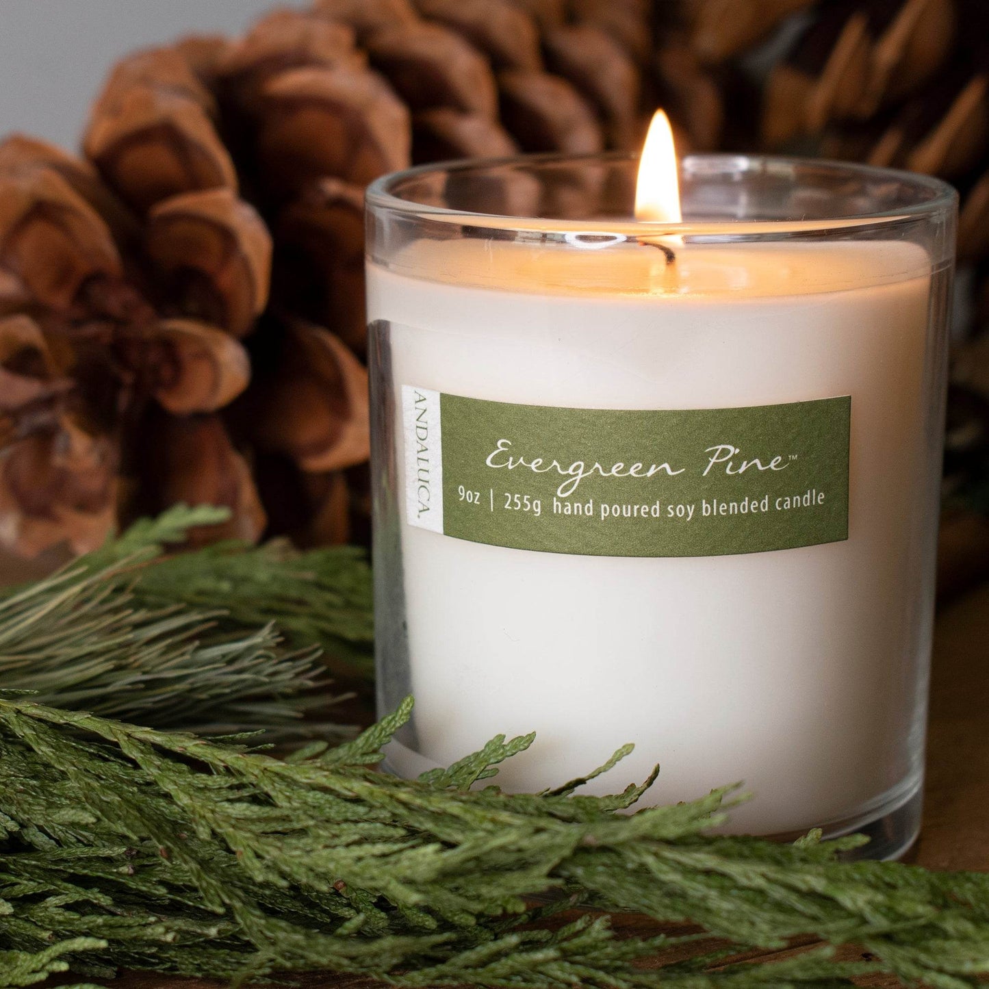 Evergreen Pine 9oz Candle - My American Goods