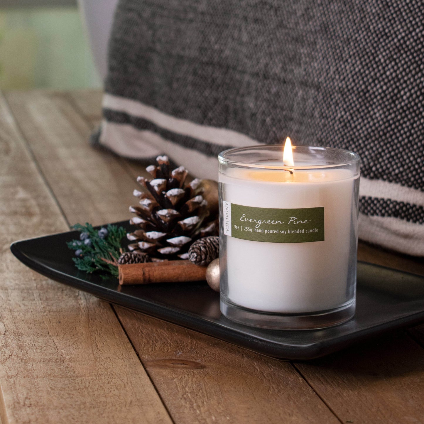 Evergreen Pine 9oz Candle - My American Goods