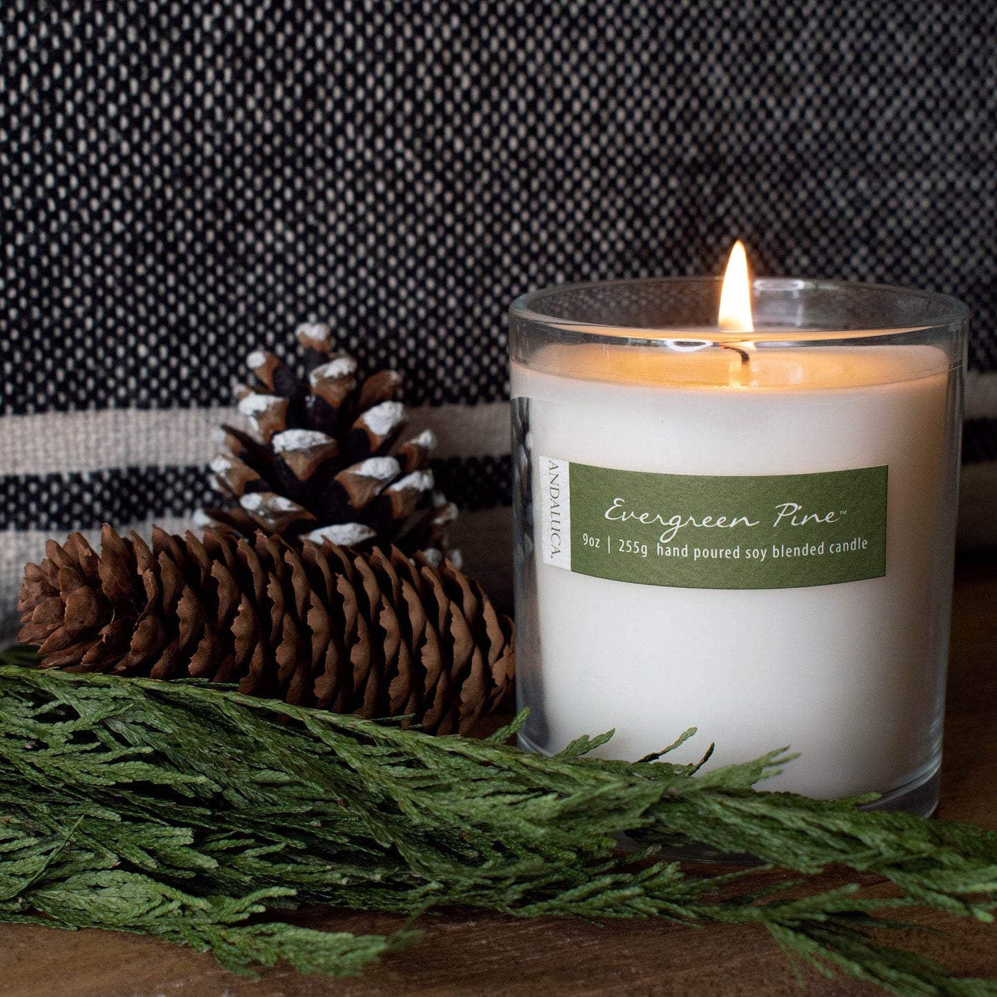 Evergreen Pine 9oz Candle - My American Goods