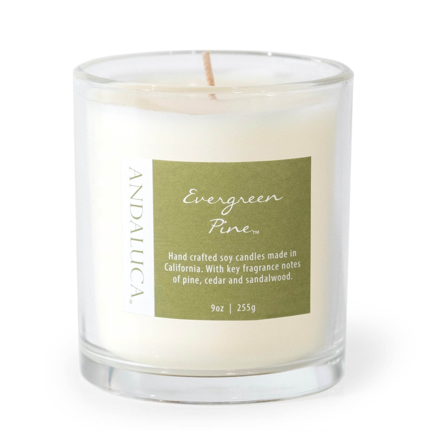 Evergreen Pine 9oz Candle - My American Goods