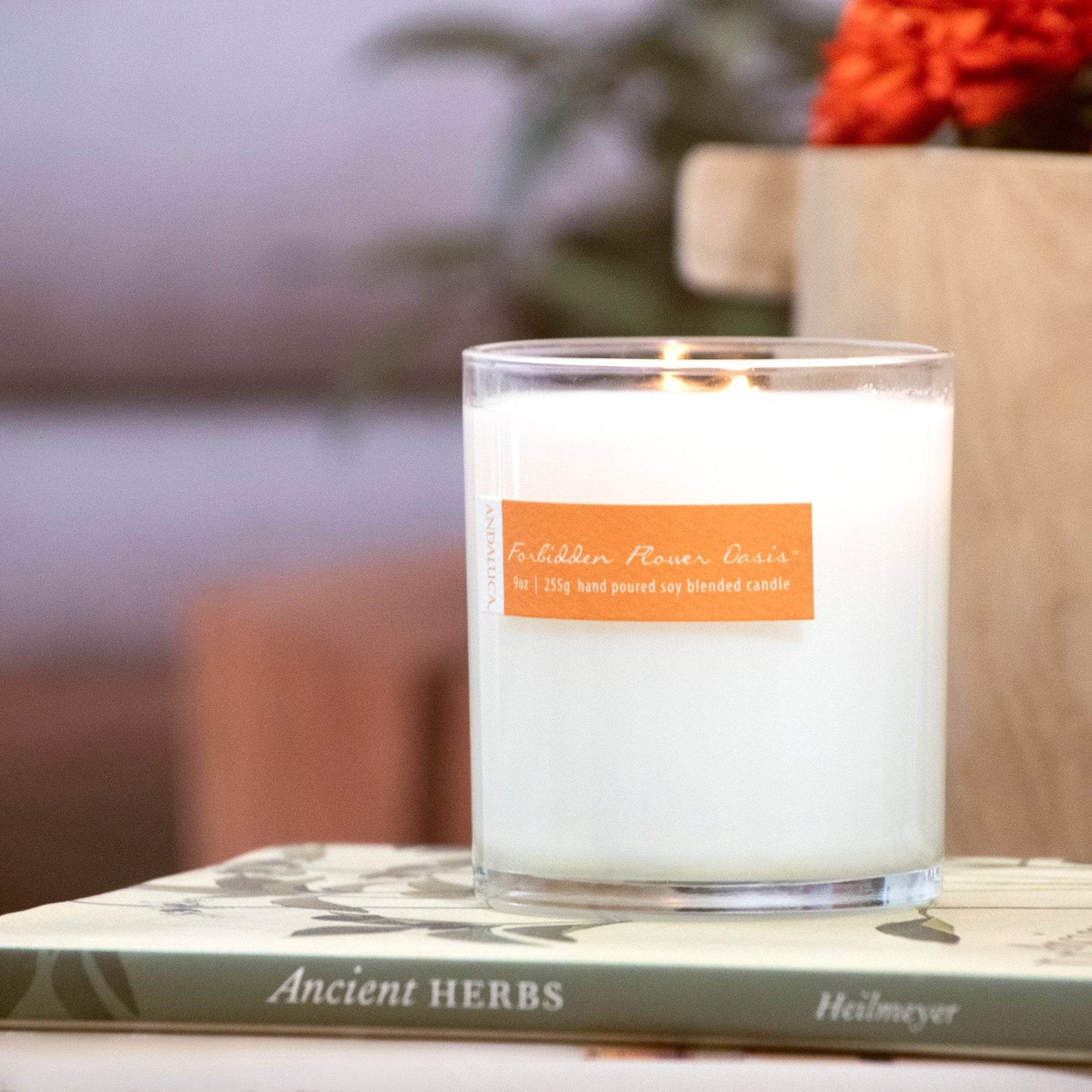 Forbidden Flower Oasis 9oz Candle - My American Goods