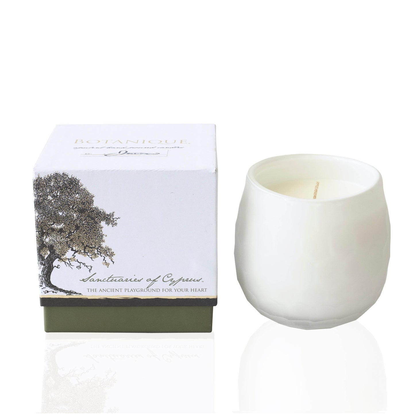 Botanique White 16 oz Candle - My American Goods
