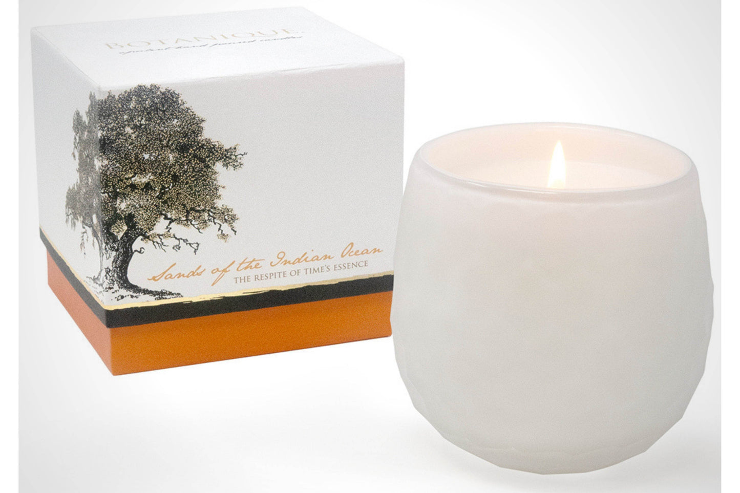 Botanique White 16 oz Candle - My American Goods