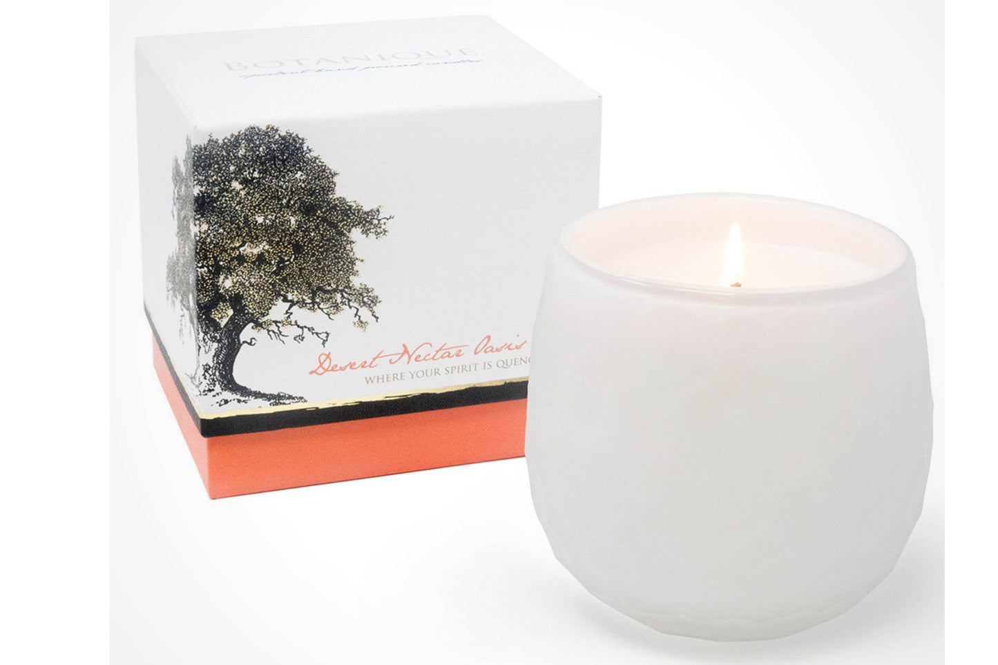 Botanique White 16 oz Candle - My American Goods