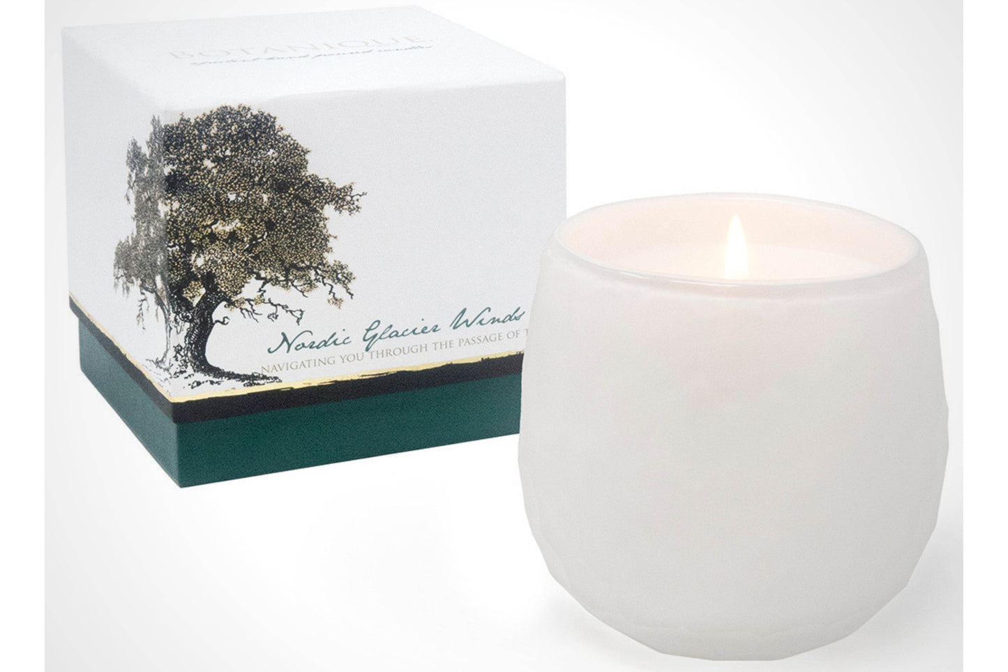 Botanique White 16 oz Candle - My American Goods