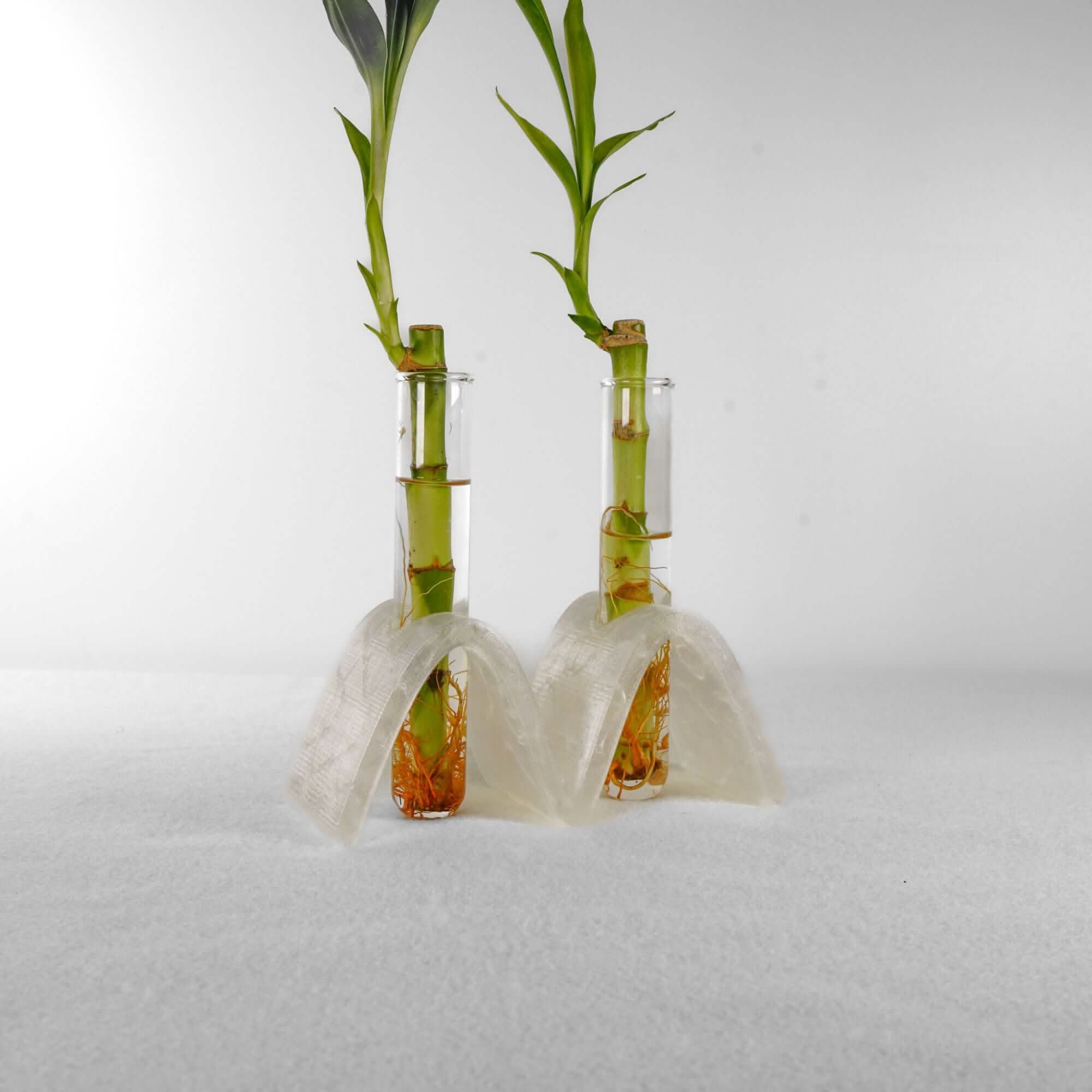 Arch Wave Propagation Station - My American Goods