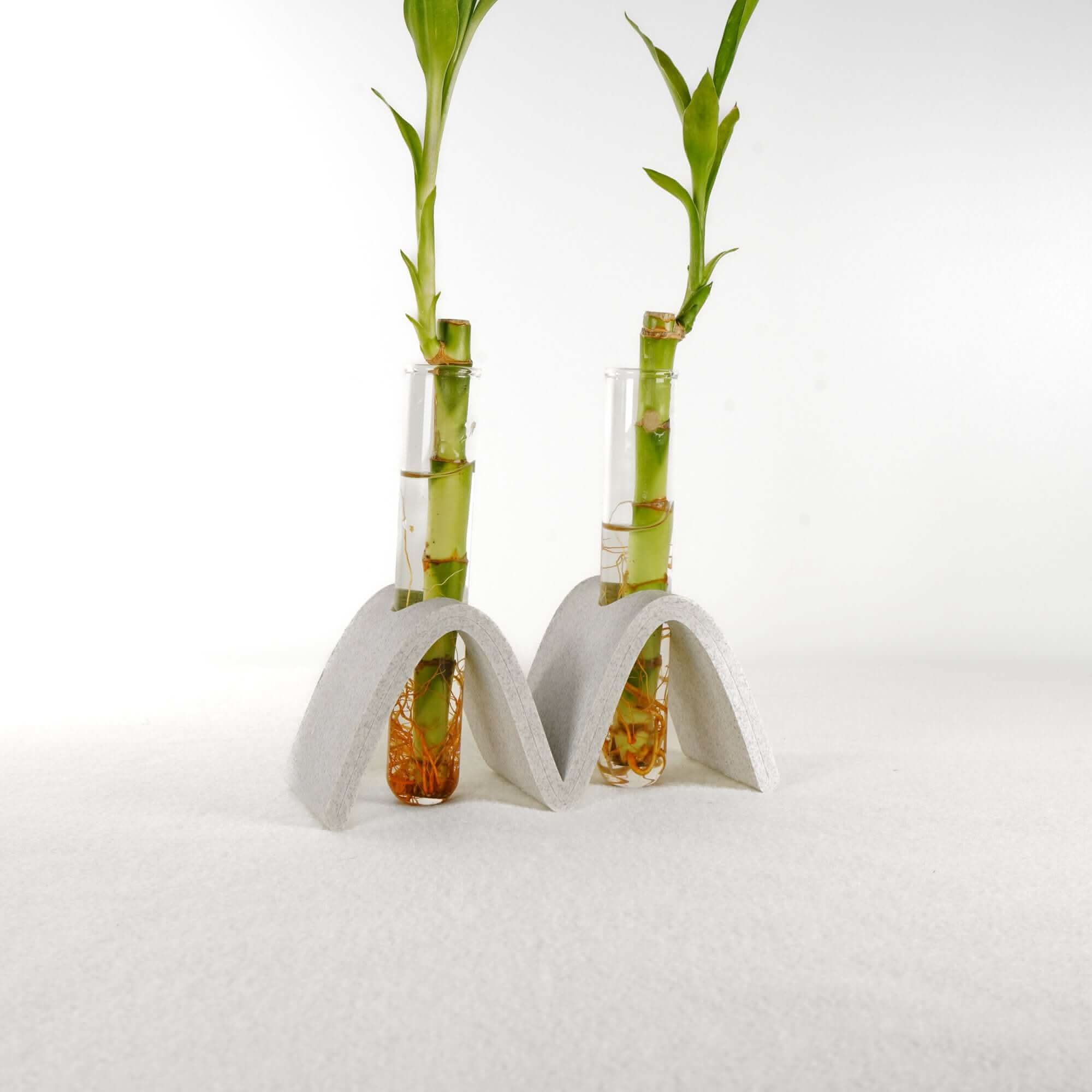 Rosebud HomeGoods Propagation Arch Wave Propagation Station