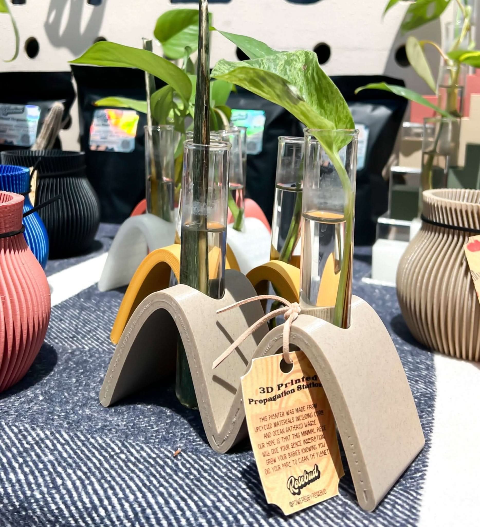 Rosebud HomeGoods Propagation Arch Wave Propagation Station