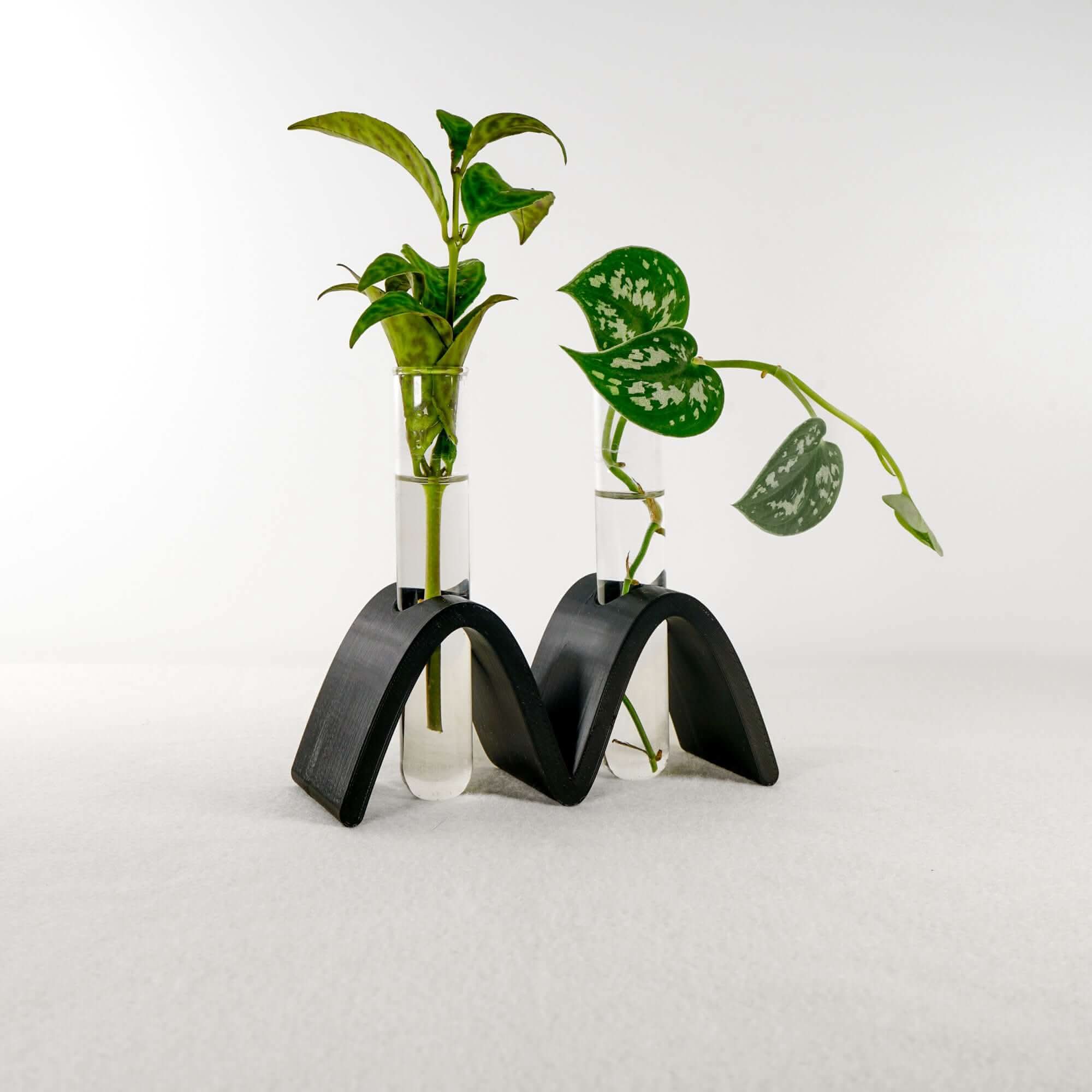Rosebud HomeGoods Propagation Arch Wave Propagation Station