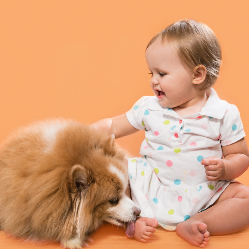 Baby Fat Bar, 4 Oz - My American Goods