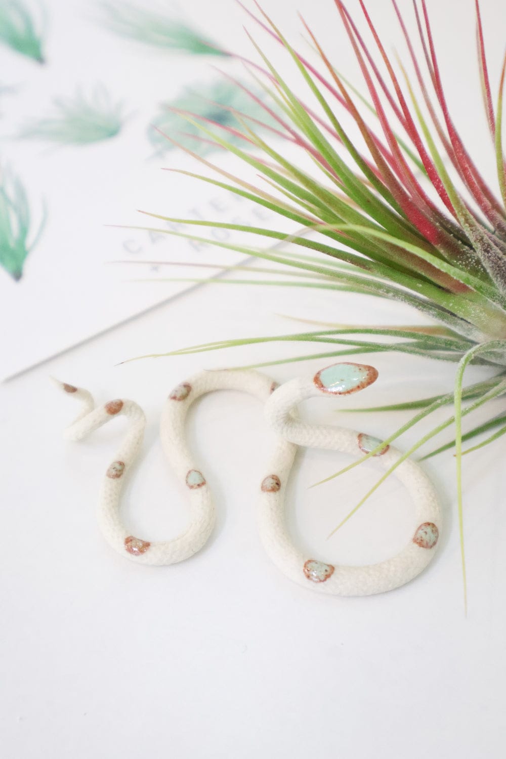Carter + Rose Sylvia Carter + Rose, Baby Snakes