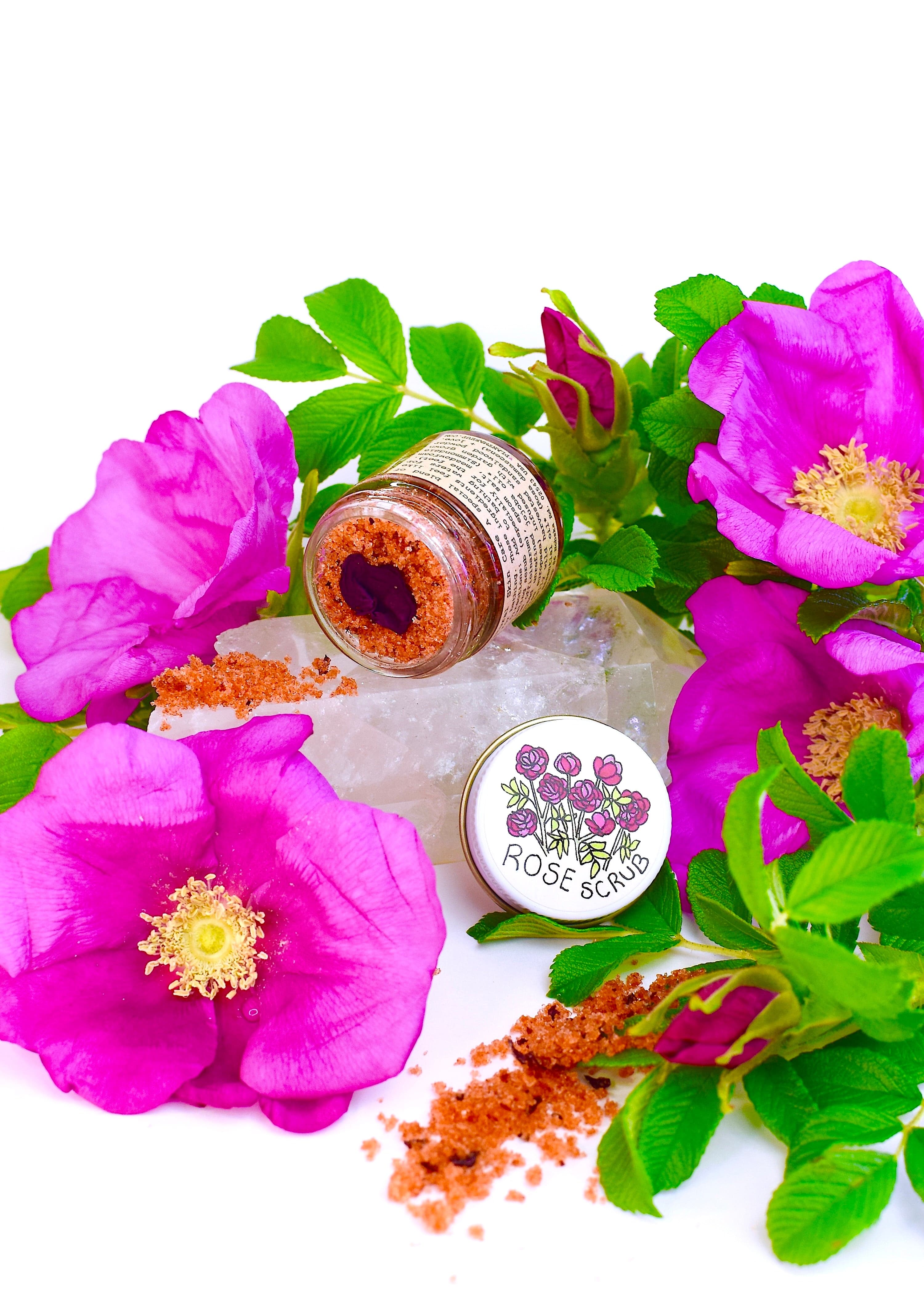 plant makeup Beach Rose Scrub