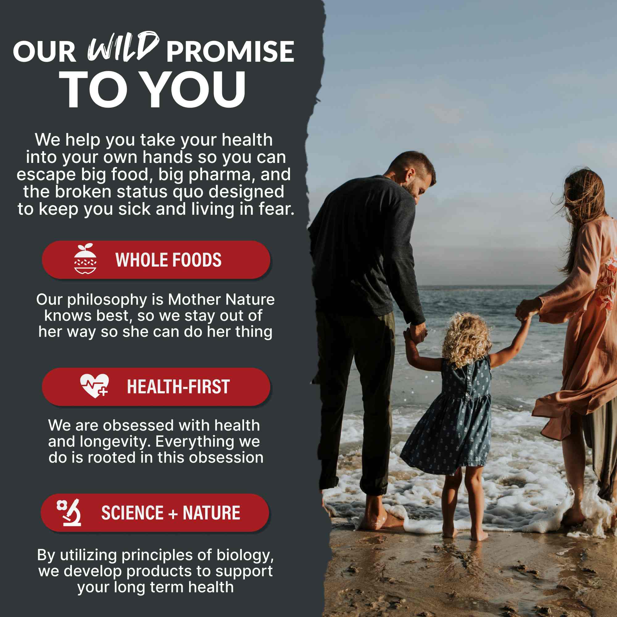 Grass-Fed Beef Liver Capsules – 100% Pasture-Raised