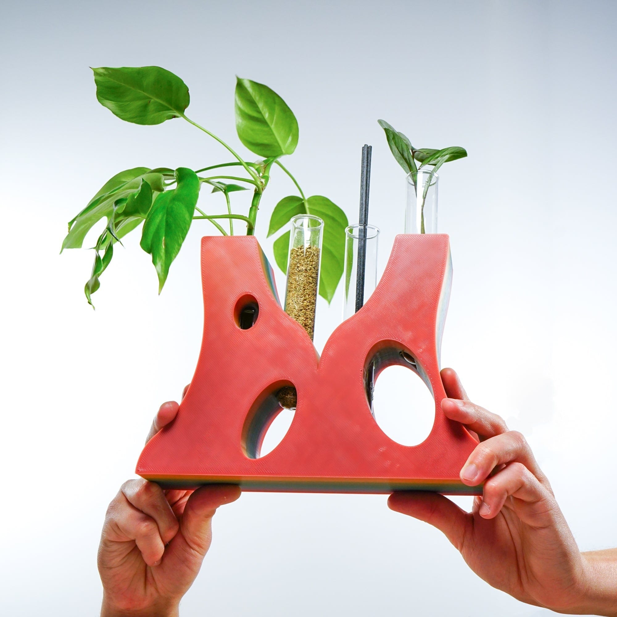 Rosebud HomeGoods Propagation Bespoke 4 Propagation Holder