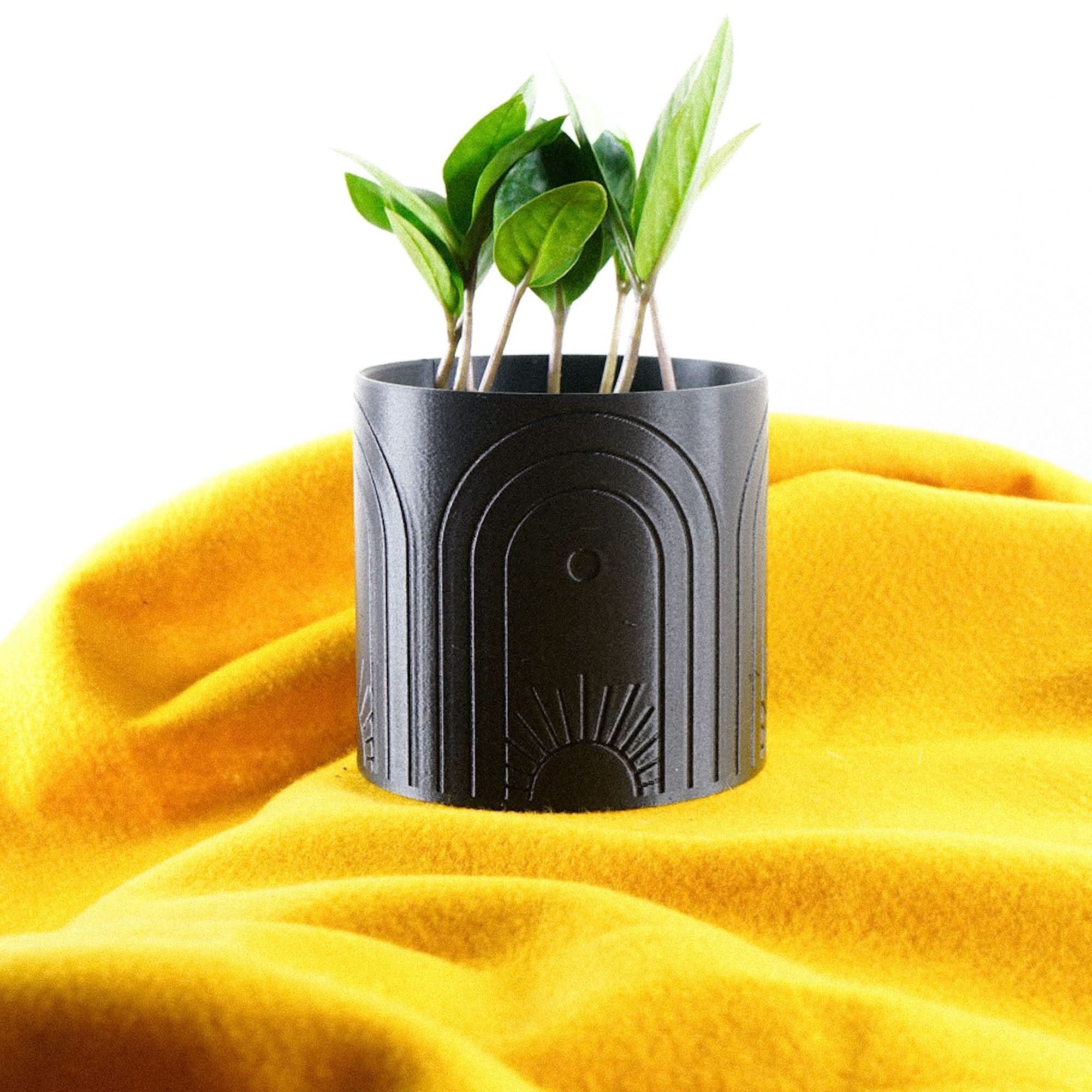 Rosebud HomeGoods Pots & Planters Boho Sun Planter