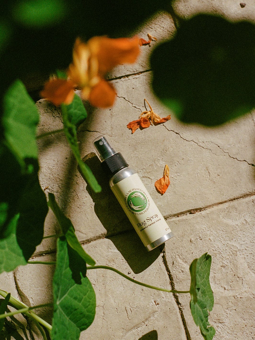 Circular Bodies Bug Spray