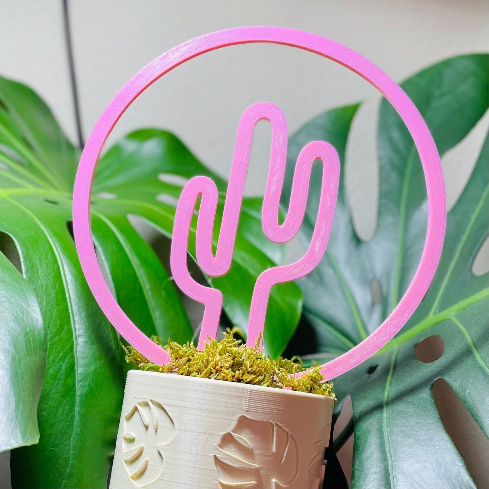 Rosebud HomeGoods Pots & Planters Cactus Trellis