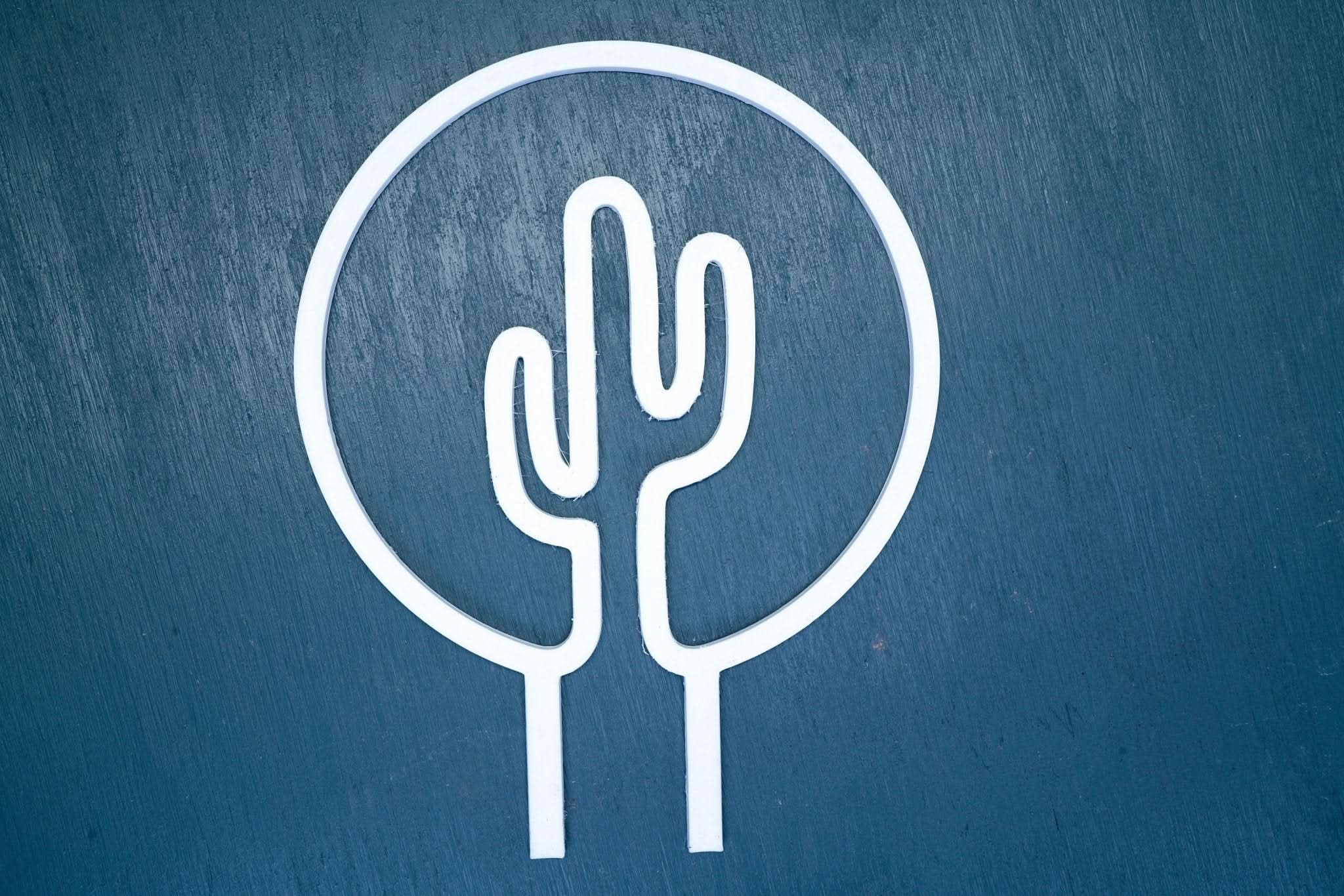 Cactus Trellis - My American Goods