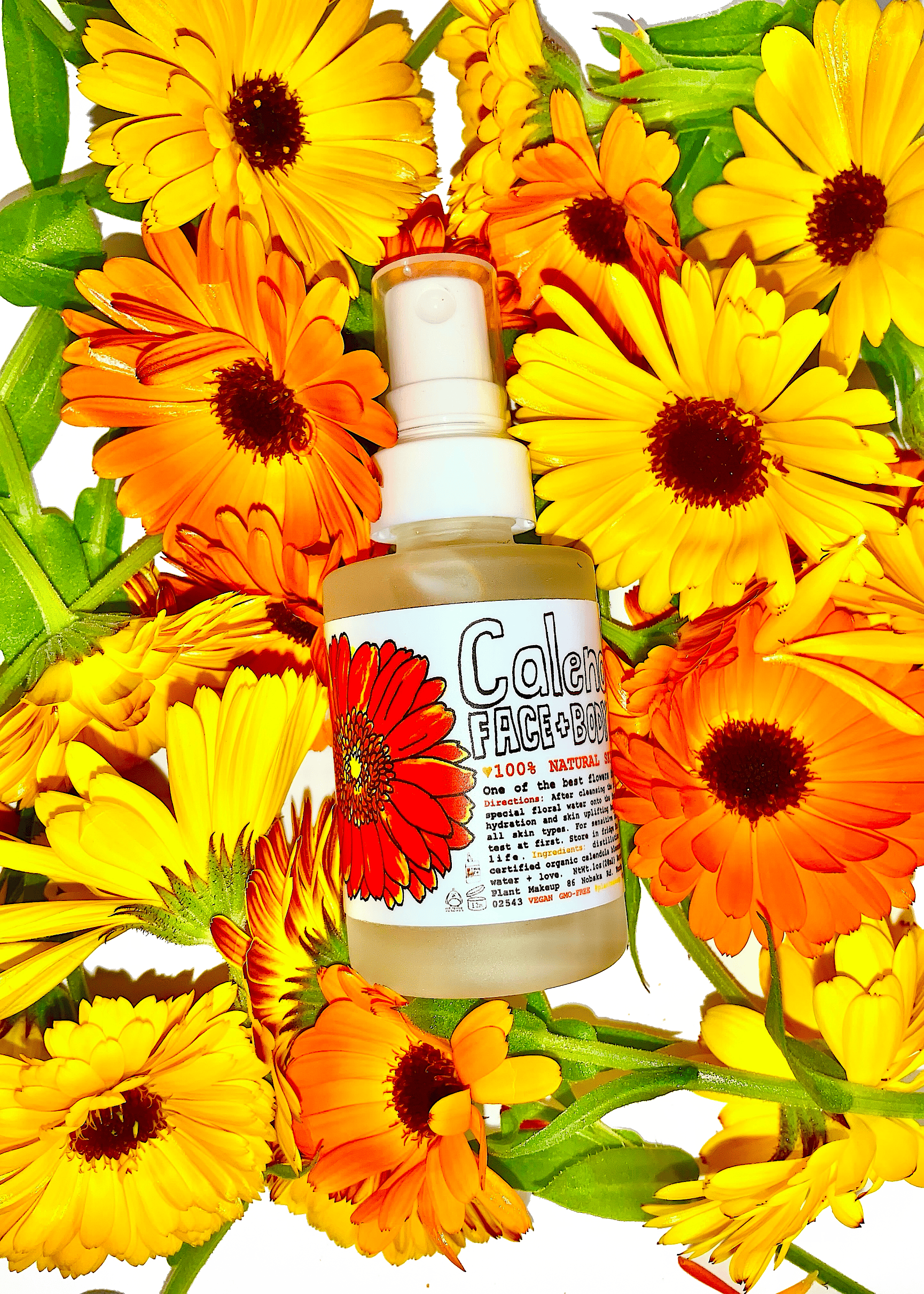 plant makeup Calendula Face + Body Mist