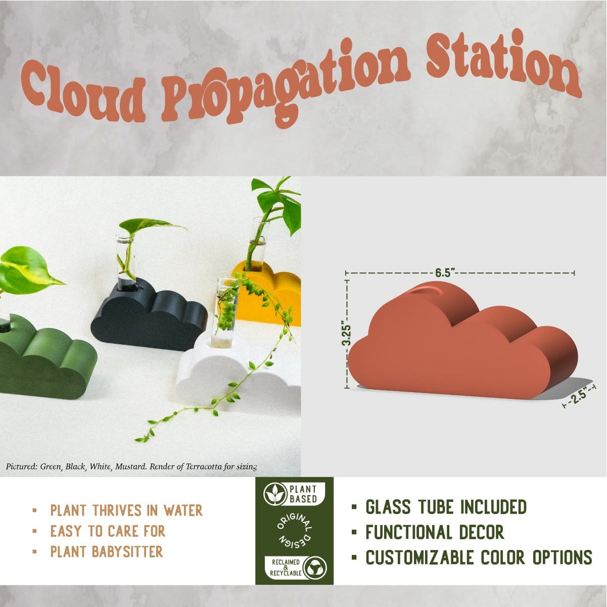 Rosebud HomeGoods Propagation Cloud Propagation