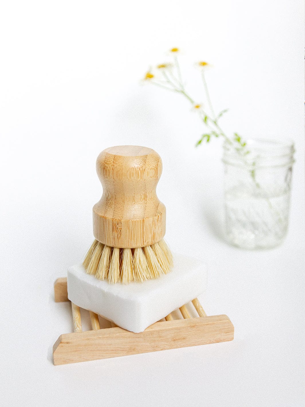 Circular Bodies Coconut Home Bar