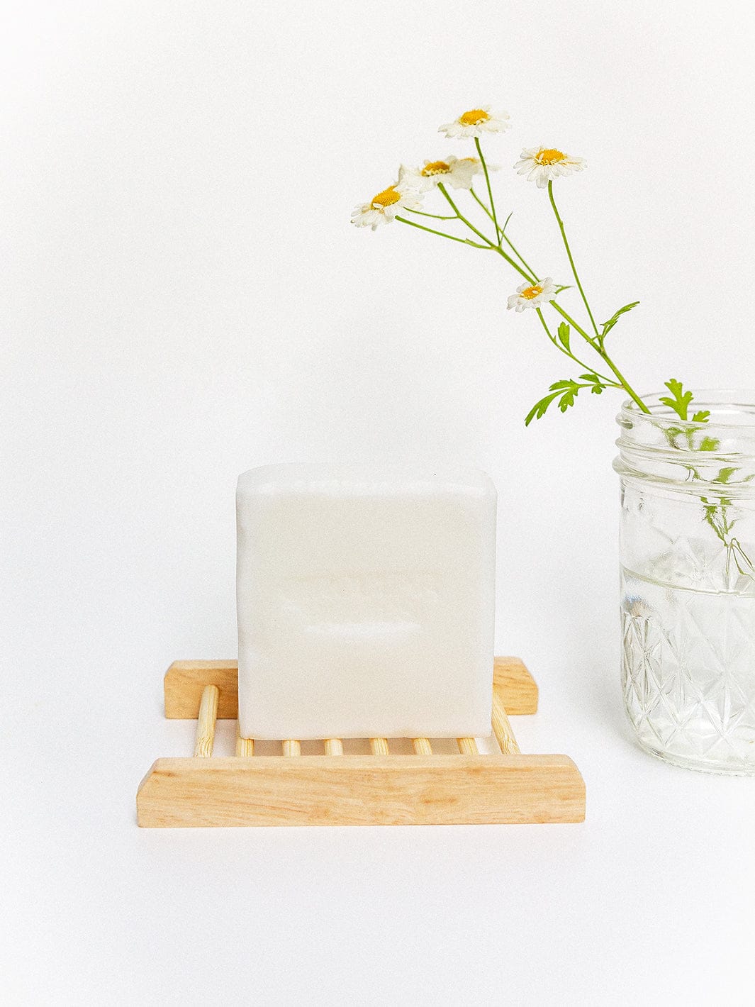 Circular Bodies Coconut Home Bar