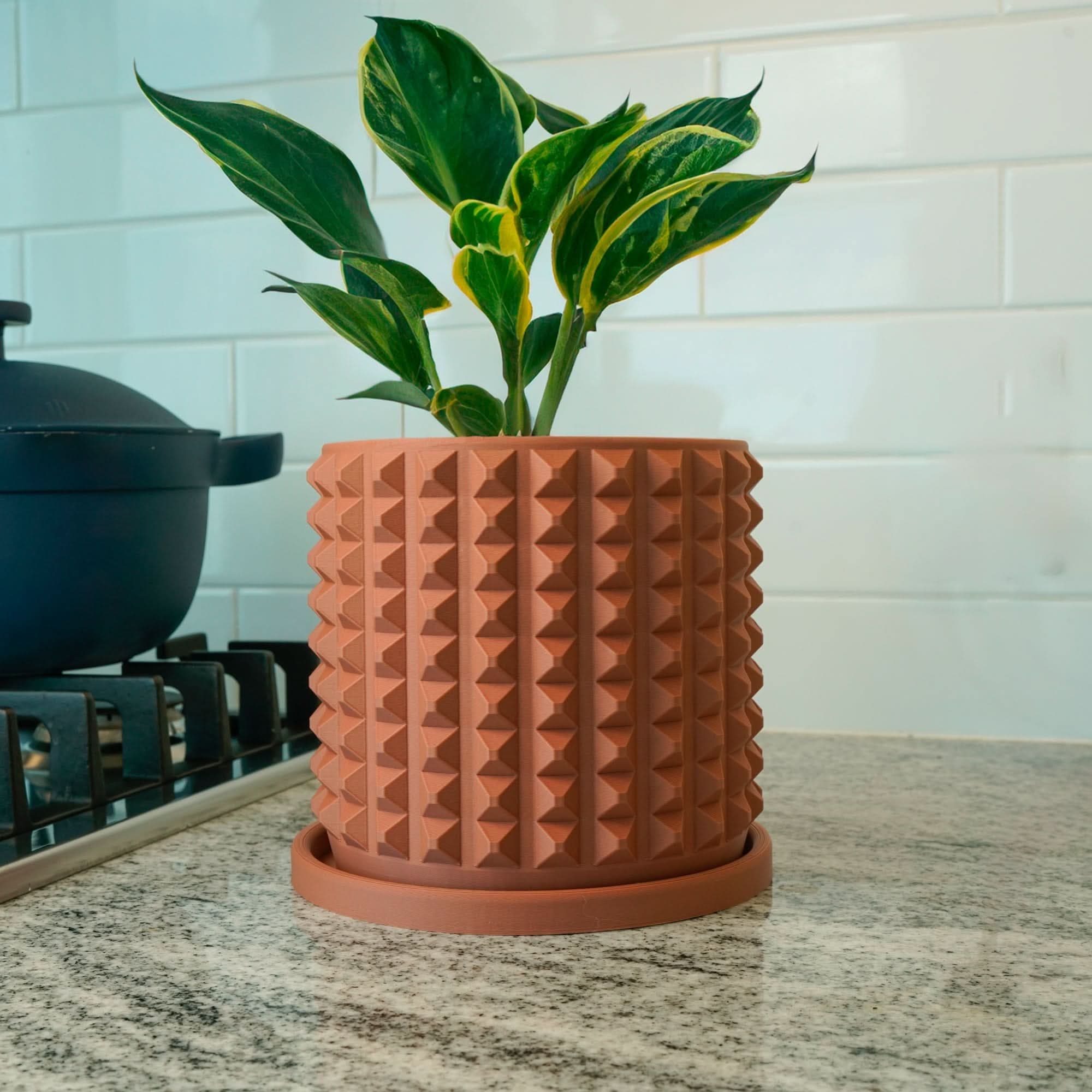 Rosebud HomeGoods Cubist Planter with Drainage
