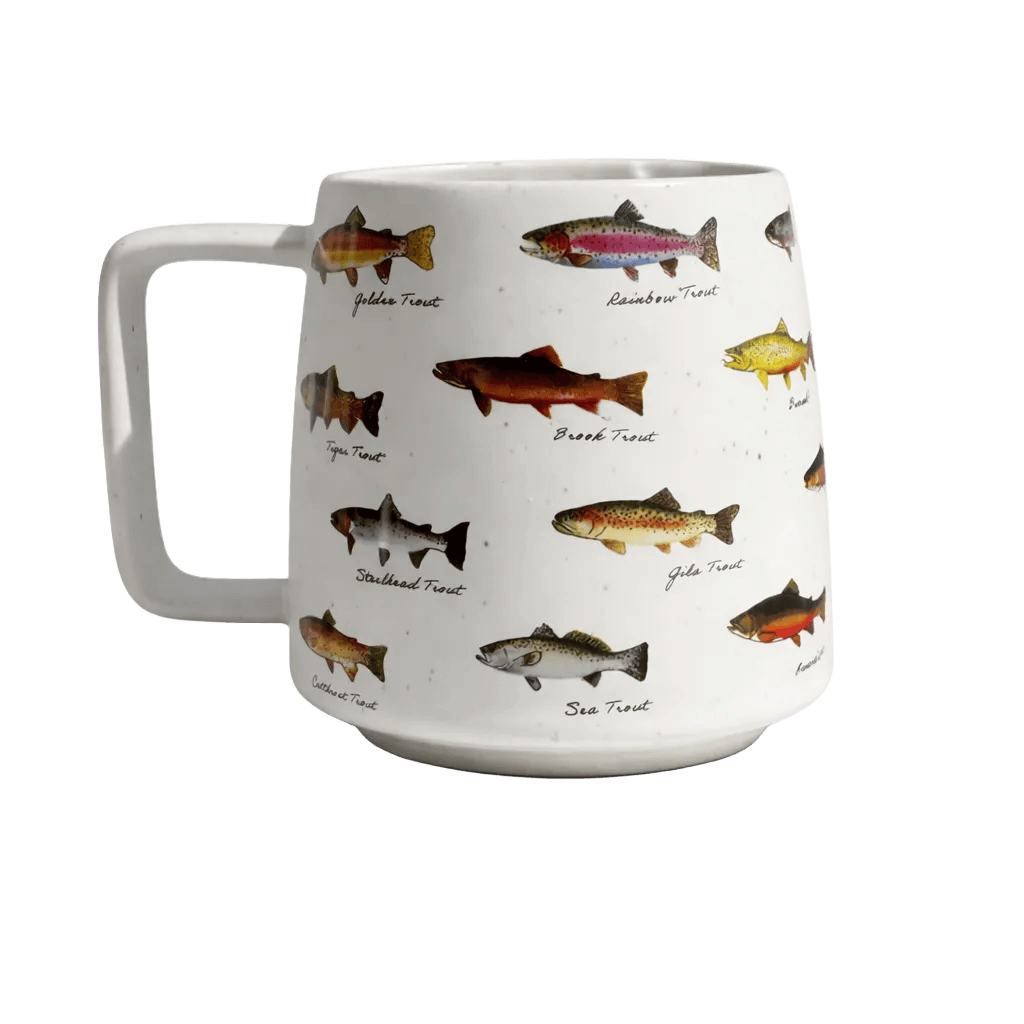 Here Fishy Fishy
