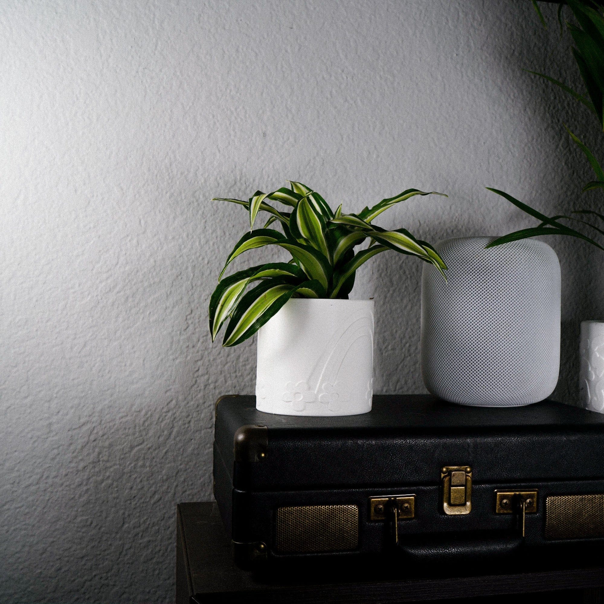 Daisy Rainbow Planter - My American Goods